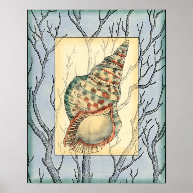 Poster Seashell and Tree Branches (Frente)