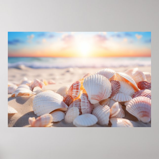 Poster Seashell Beach Nature Serene Tranquil (Frente)