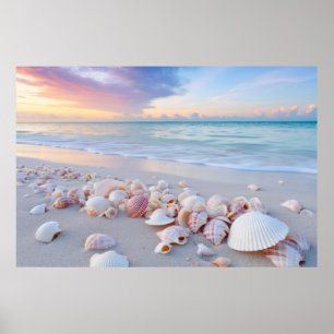 Poster Seashell Beach Tranquil Peaceful Nature