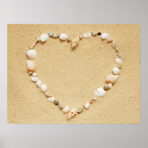 Pôster Seashell Heart
