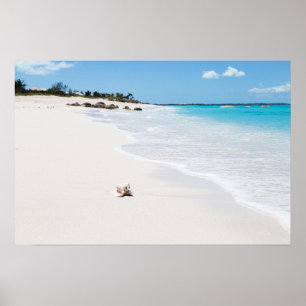 Poster Seashell na praia