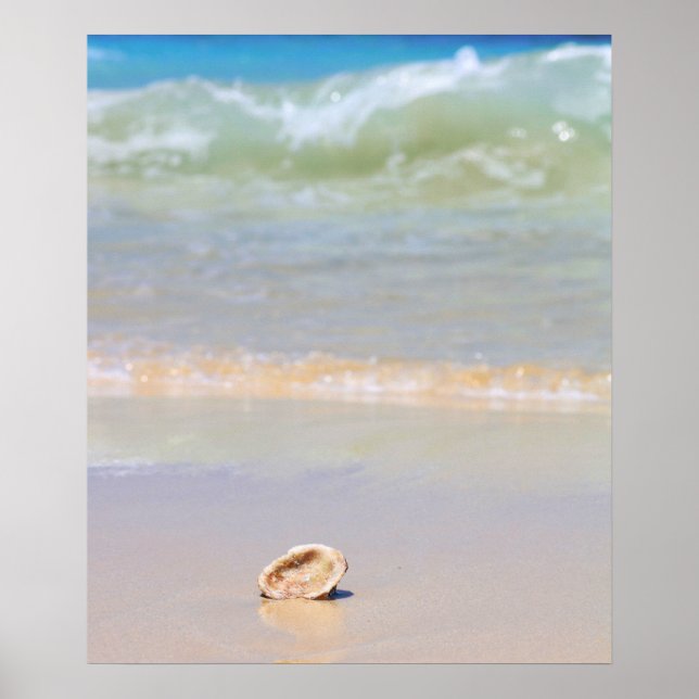 Poster Seashell Na Praia | Cabo Verde (Frente)