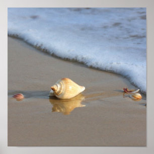 Poster Seashell on sand