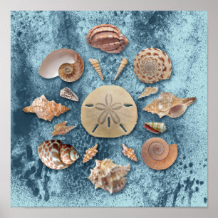 Poster Seashells Collection Mandala