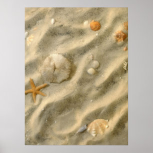 Pôster Seashells na areia