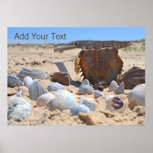 Poster Seashells on Beach por Shirley Taylor