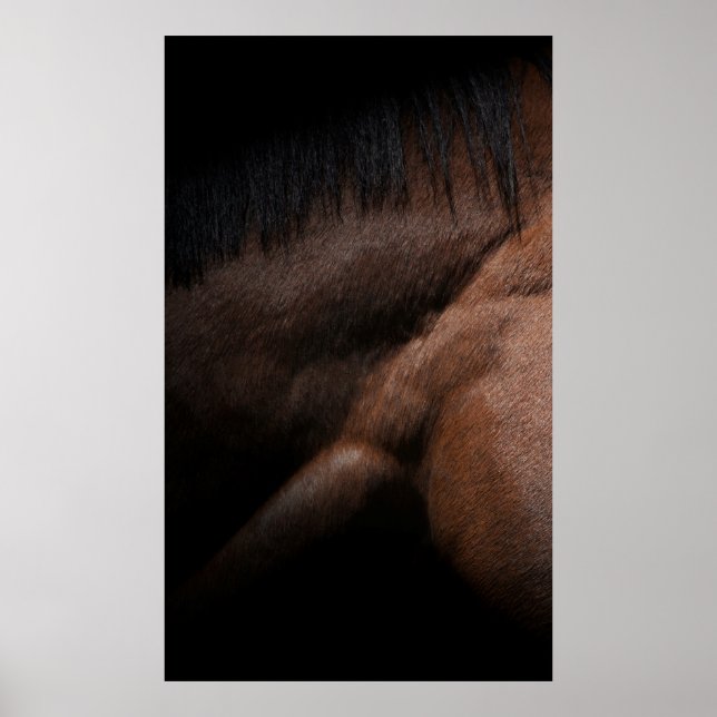 Poster Seattle (Frente)