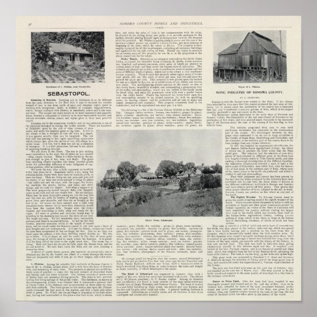 Poster Sebastopol, Califórnia (Frente)