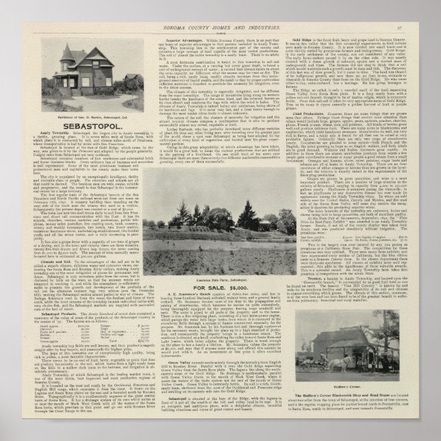 Poster Sebastopol, California (Frente)