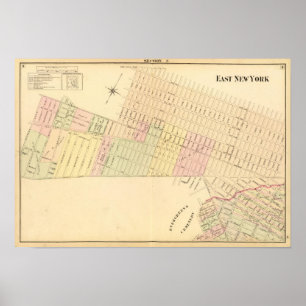 Pôster Sec 9 East New York