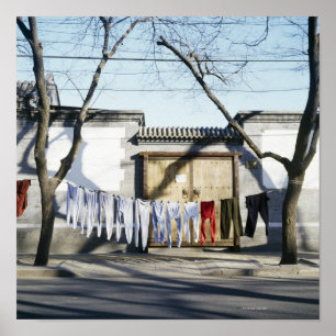 Pôster Secagem de roupa em palangres
