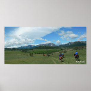 Poster Seção 33