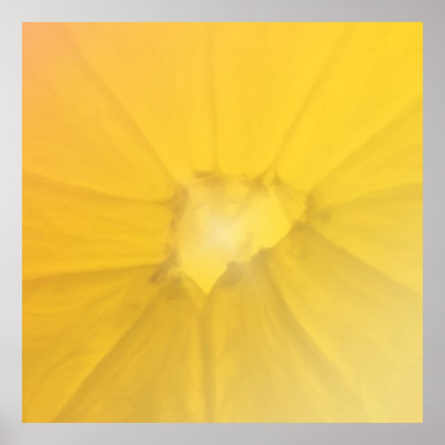 Poster Seção de Limão (Frente)