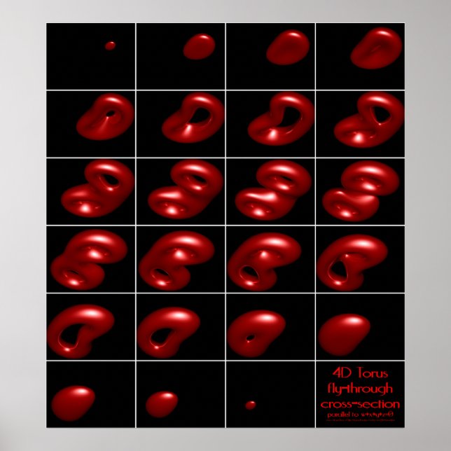 Poster Seção transversal transversal do tronco 4d (Frente)