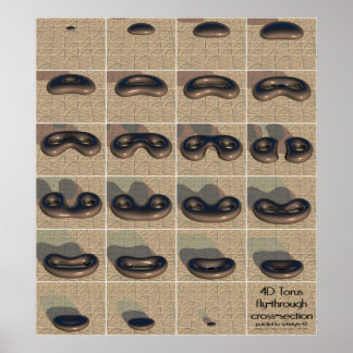 Pôster Seção transversal transversal do tronco 4D