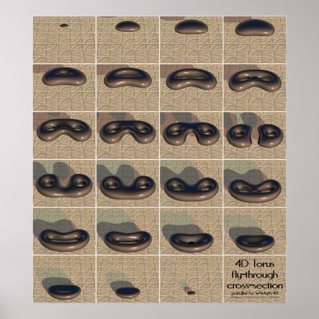 Pôster Seção transversal transversal do tronco 4D (Frente)