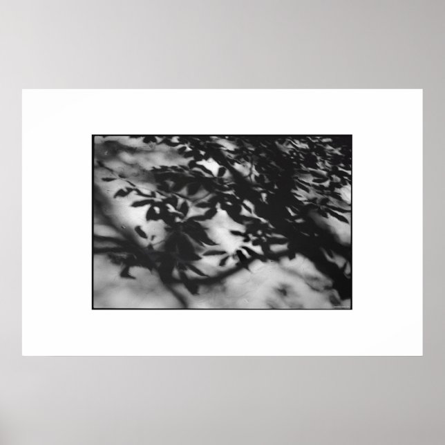 Poster Secret Garden (Frente)