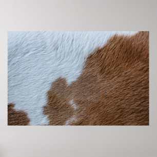 Poster Século Médio