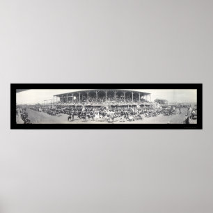 Pôster Sedalia MO Cattle Foto 1911