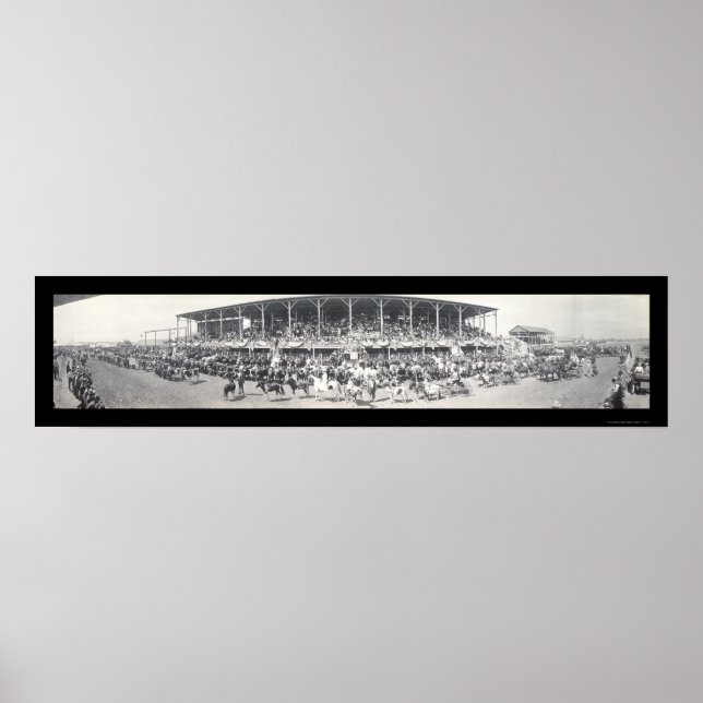 Pôster Sedalia MO Cattle Foto 1911 (Frente)