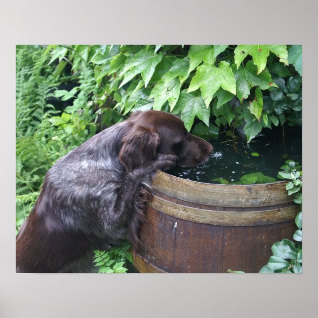 Pôster Sedento após o trabalho (Frente)