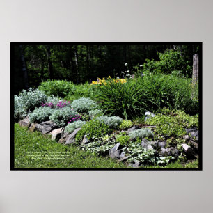 Poster Sedum Silvers Pinks Rock Garden