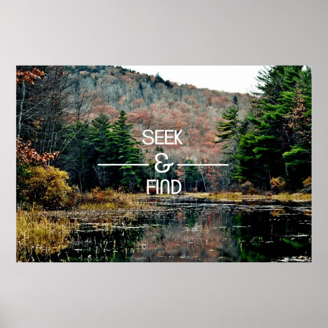 Poster ...Seek & Find (Frente)