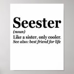 Poster Seester Noun Definition Best Sister Funny Gift<br><div class="desc">irmã, seester, definição, família, bigsis, presente, aniversário, engraçado, sarcástico, presente, </div>