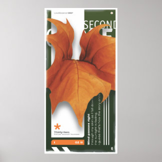 Poster SEGUNDA TEMPORADA (Poster)