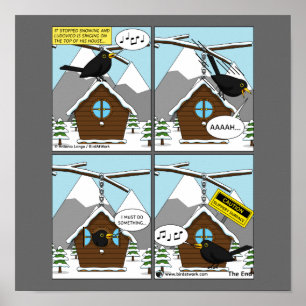 Poster Segurança Primeira Cômica