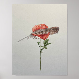 Poster Segure-me Gentilmente, Papoula