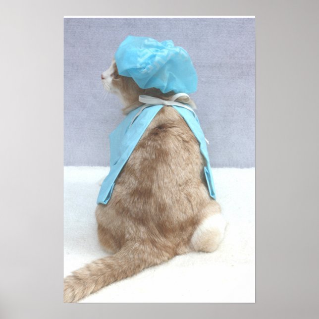 Poster Seguro de doença (Frente)