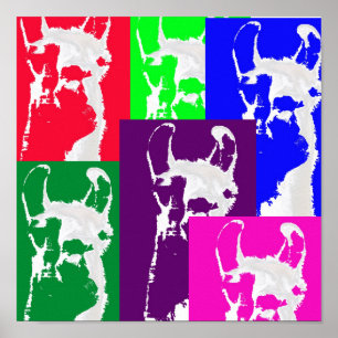 Pôster Seis lamas de Mulitcolored