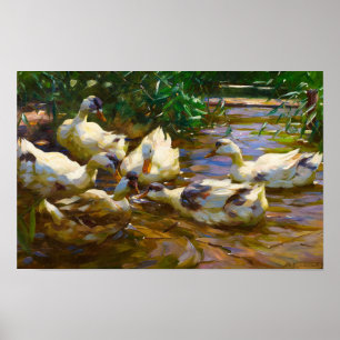 Poster Seis patos em água azul-vermelha por Alexander Koe