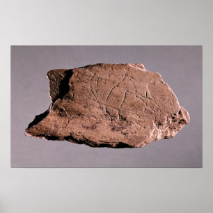 Pôster Seixo que descreve um homem que está sendo atacad