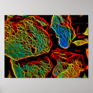 Poster Seixos Pintados com Neon Fulgurante