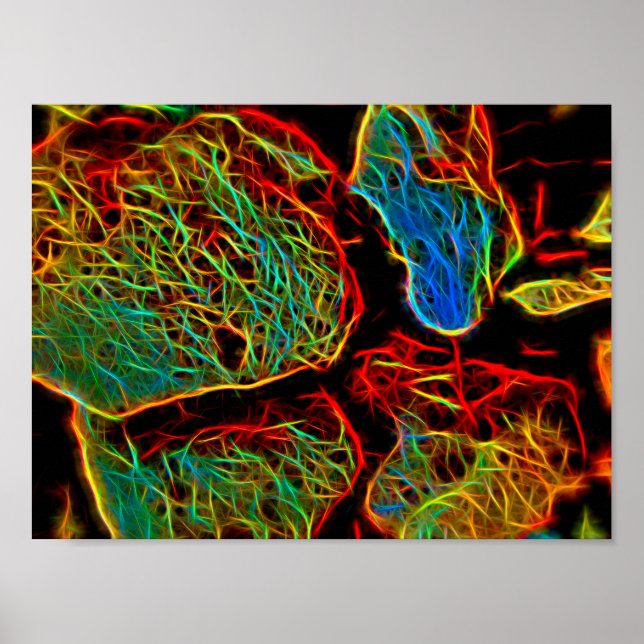 Poster Seixos Pintados com Neon Fulgurante (Frente)