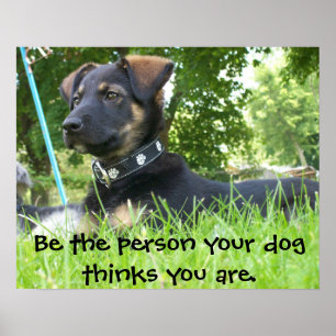 Poster Seja a pessoa que seu cão pensa que você é, pos