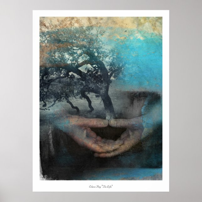 Pôster Seja A Vida (Frente)