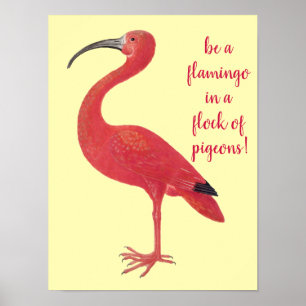 Poster Seja um flamingo - divertimento, citações