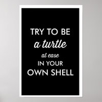 SEJA UMA TURTLE DE MODO ALGUM NA SUA PRÓPRIA POSTE