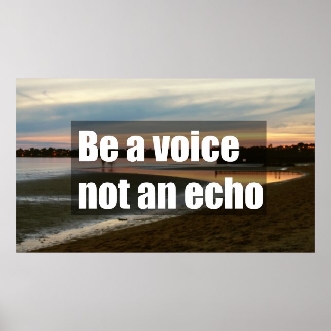 Poster Seja uma voz, não um eco (Frente)