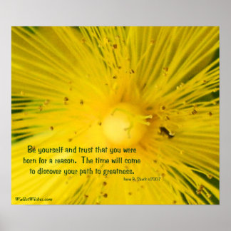 Pôster Seja você mesmo