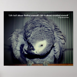 Poster Seja Você Mesmo Cotovia Fofa Citação Inspiradora