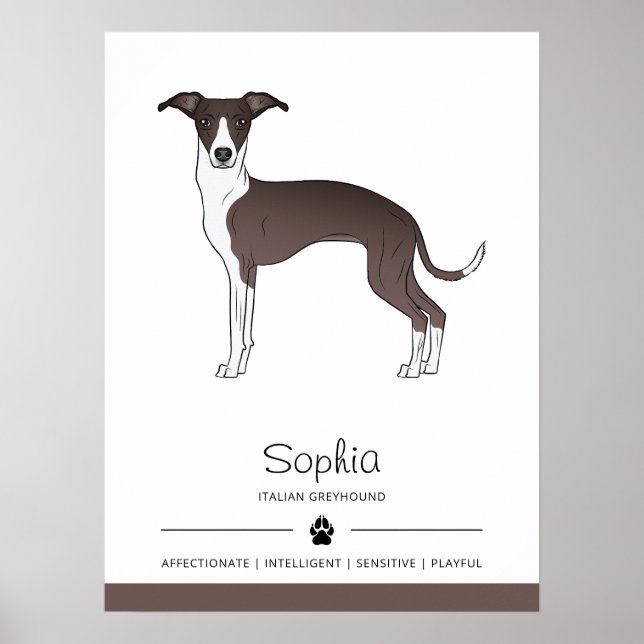 Poster Selador e Italiano Branco Greyhound com Texto Pers (Frente)