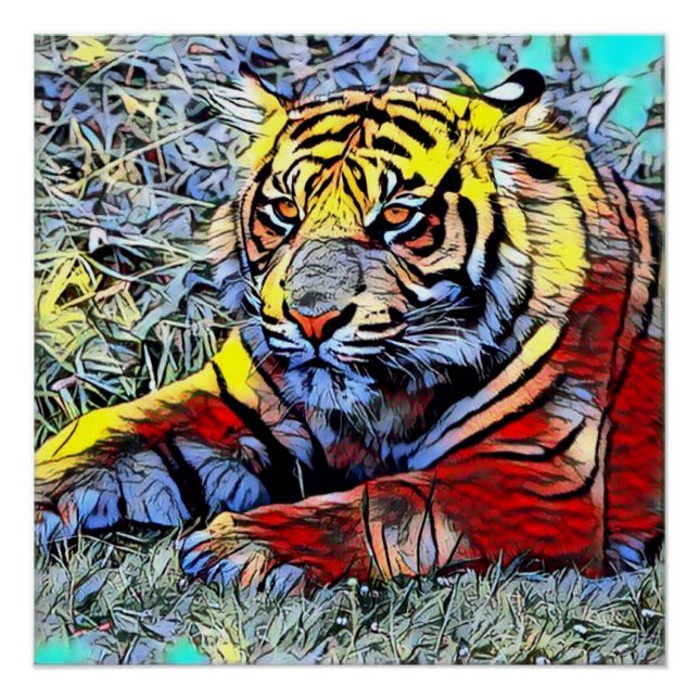 Pôster Seleção de cor - Tigre 2 (Frente)