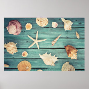 Poster Seleção dos Seashells
