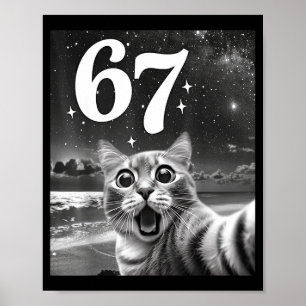 Poster Selfie de Gato Com 67 Meme Gatos Engraçados Gráfic