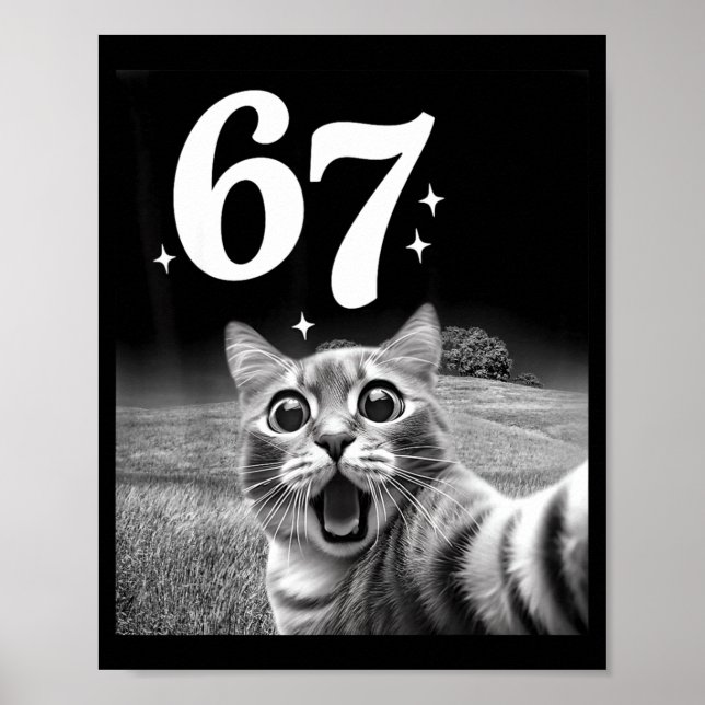 Poster Selfie de Gato Com 67 Meme Gatos Engraçados Gráfic (Frente)