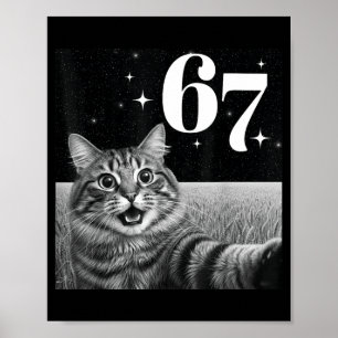Poster Selfie de Gato Com 67 Meme Gatos Engraçados Gráfic